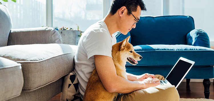 Man looking at the computer with his dog